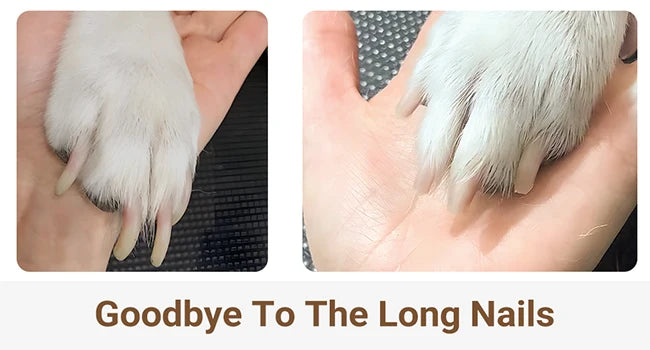 4-in-1 Rechargeable Pet Grooming Kit – Low Noise Clippers with Interchangeable Blades